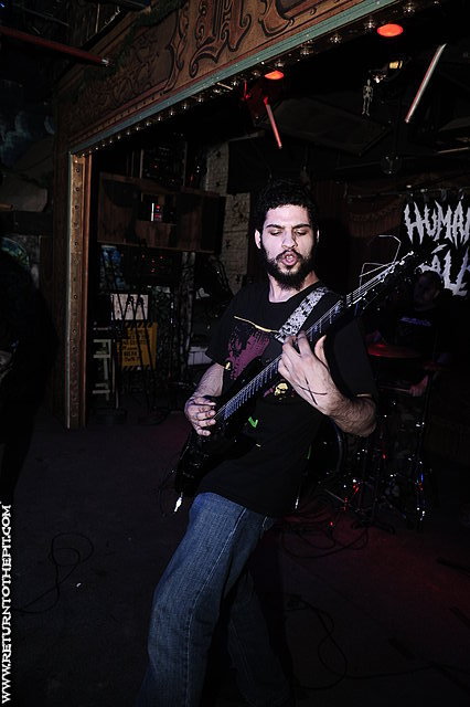 [humanity falls on May 20, 2010 at Ralph's (Worcester, MA)]